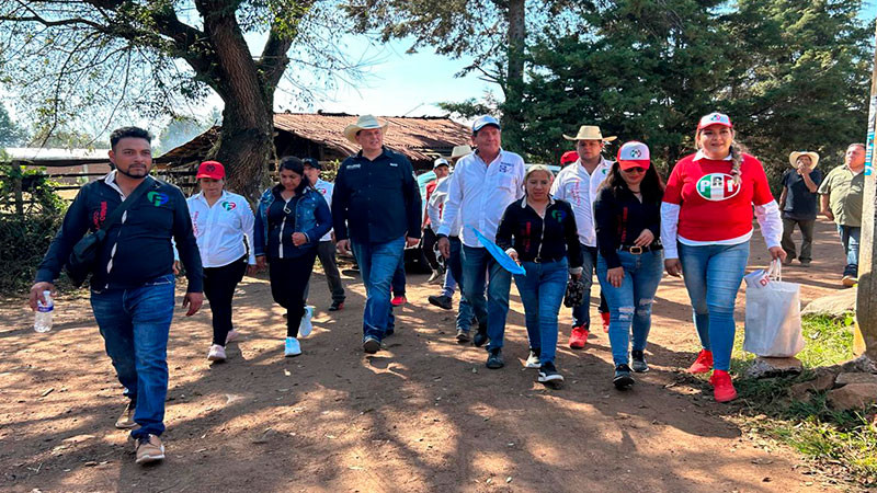 Pide Memo Valencia a autoridades garantizar la seguridad en la región de cara al proceso electoral extraordinario en Irimbo