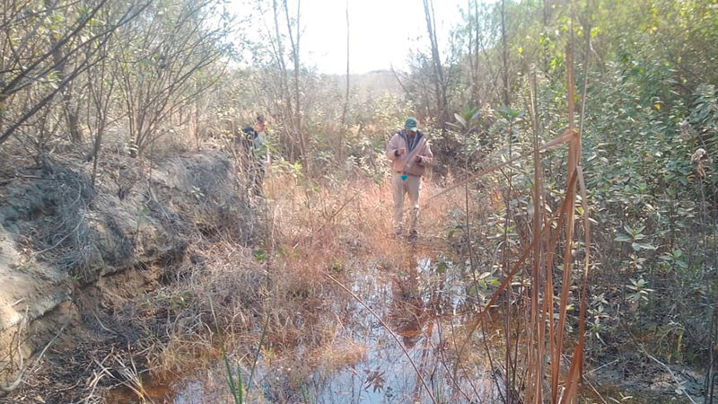 Efectúa SESA vigilancia epidemiológica del dengue en Querétaro 